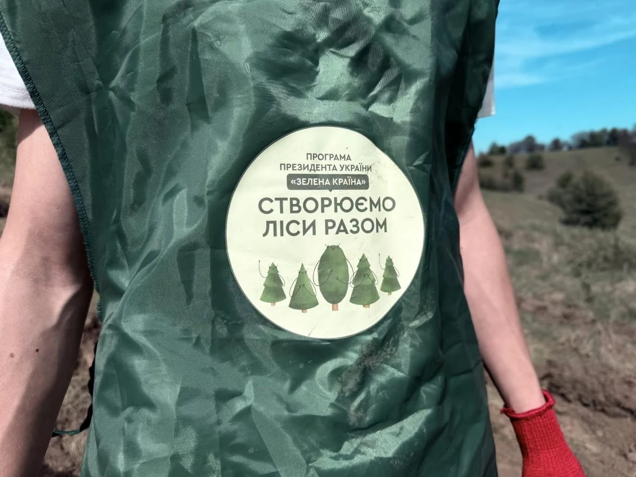 «Сумиоблагроліс»: чому 25 років тому Сумщина обрала власний шлях розвитку лісового господарства