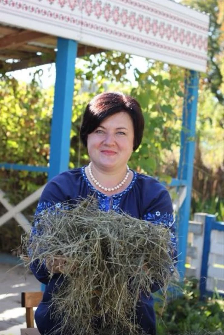 Гнучкі орнаменти соснового коріння