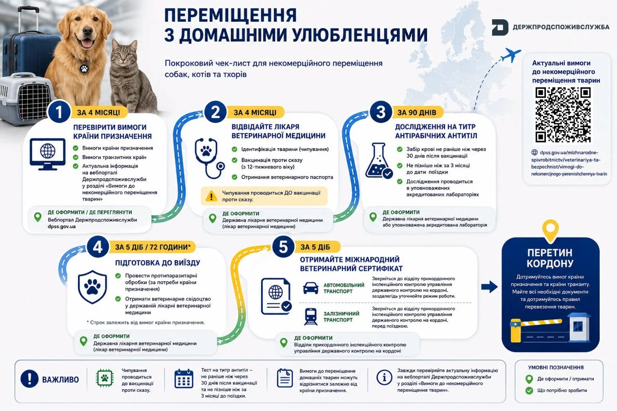 Поїздка з твариною за кордон: які документи та щеплення потрібні
