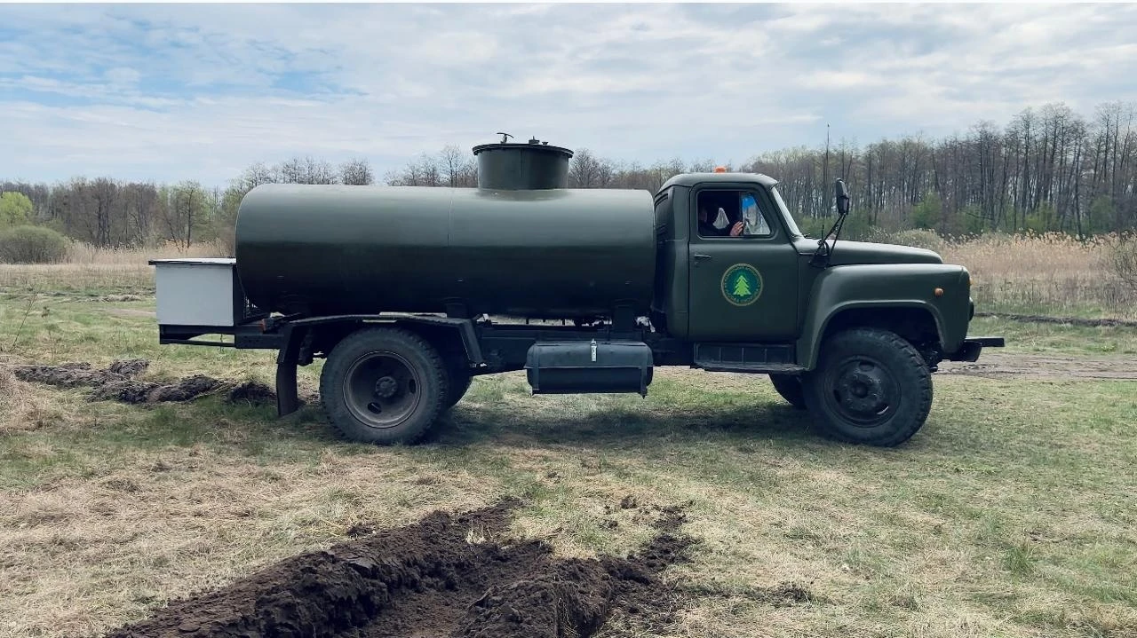 «Сумиоблагроліс»: чому 25 років тому Сумщина обрала власний шлях розвитку лісового господарства