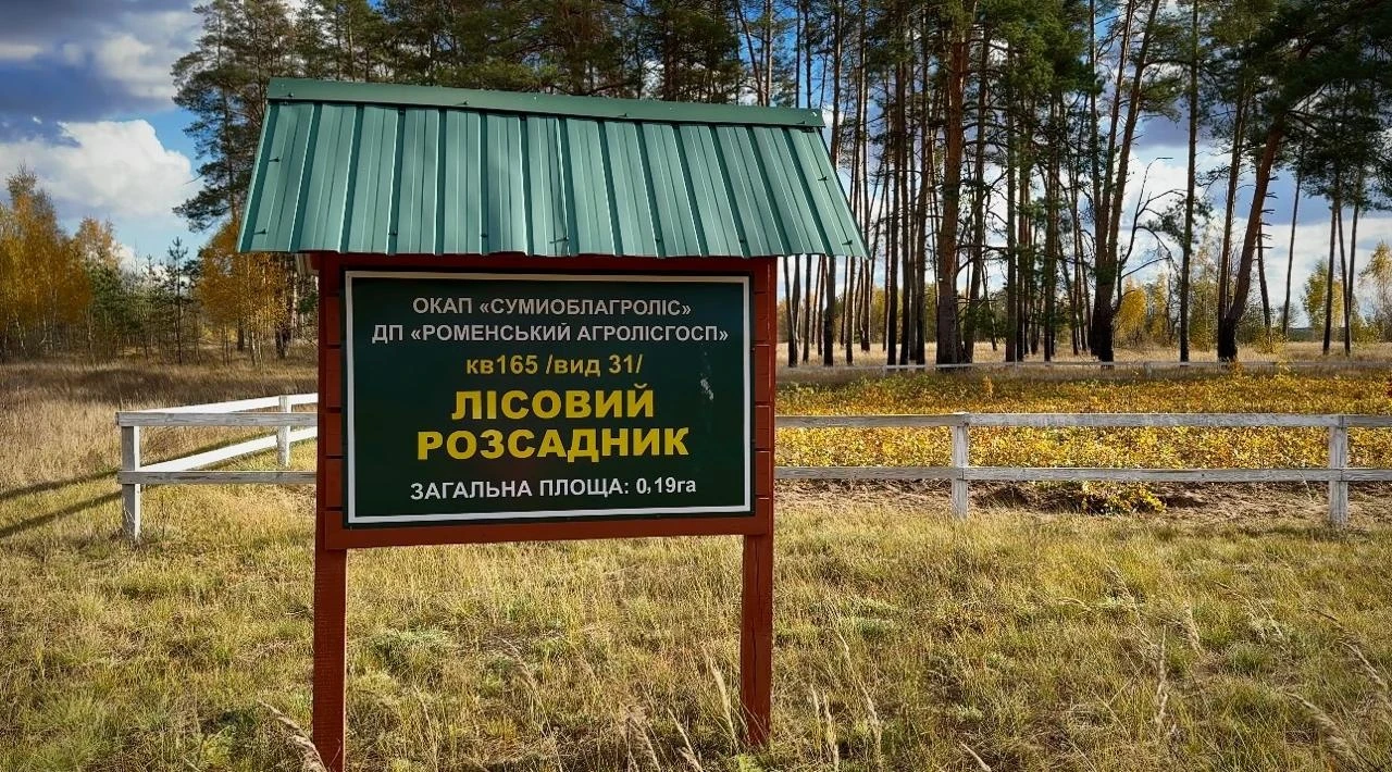 «Сумиоблагроліс»: чому 25 років тому Сумщина обрала власний шлях розвитку лісового господарства