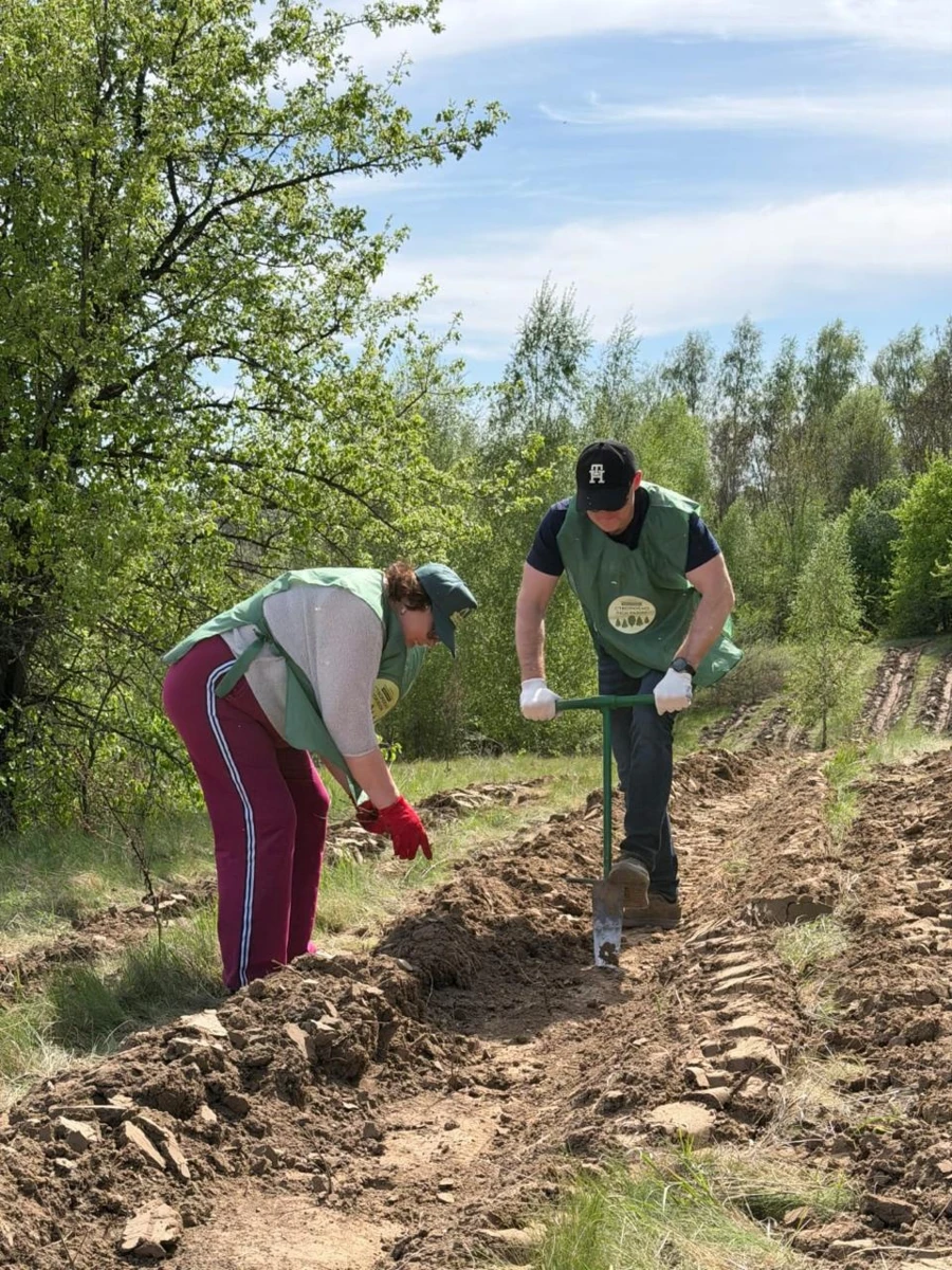«Сумиоблагроліс»: чому 25 років тому Сумщина обрала власний шлях розвитку лісового господарства