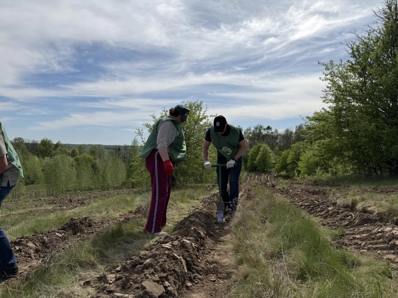 «Сумиоблагроліс»: чому 25 років тому Сумщина обрала власний шлях розвитку лісового господарства