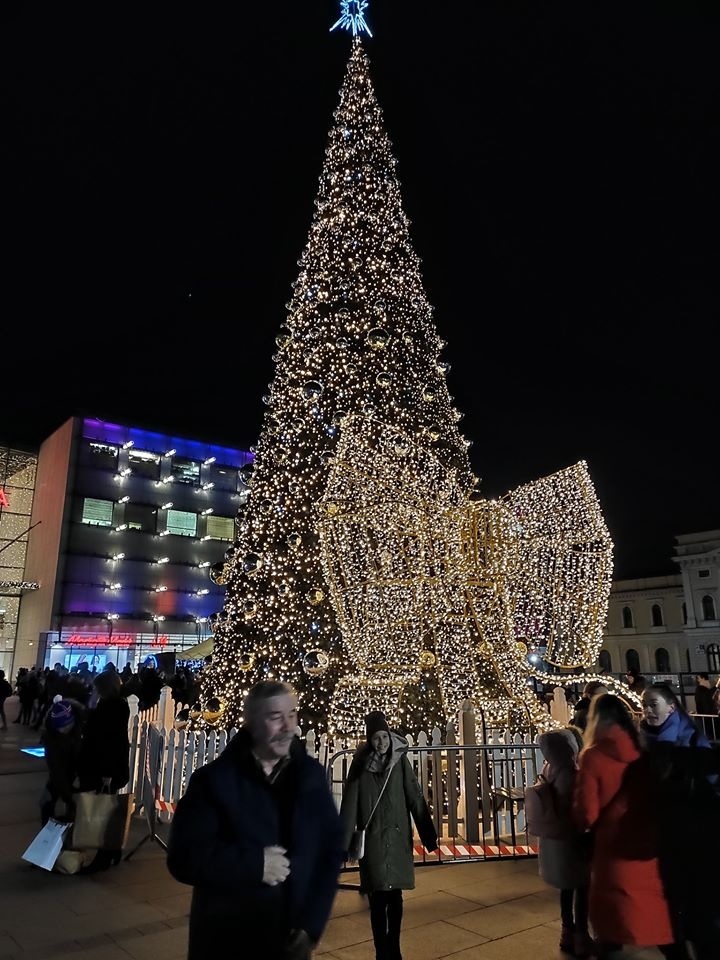 Одна з ялинок Кракова, Польща
