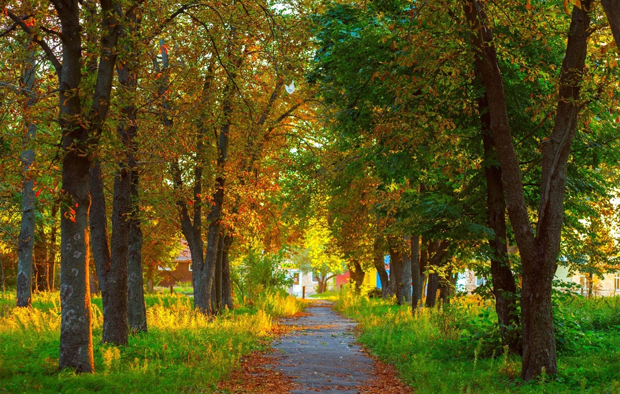 Білопілля, центральний парк
