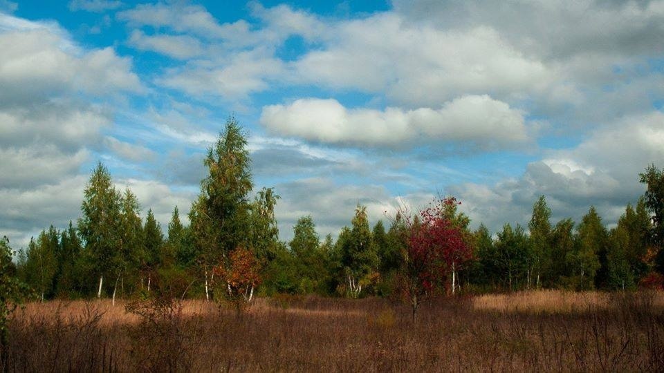 Гировський сад