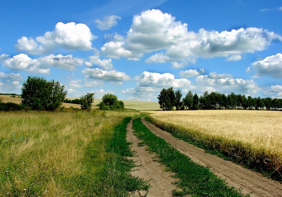 Горобівський пейзаж