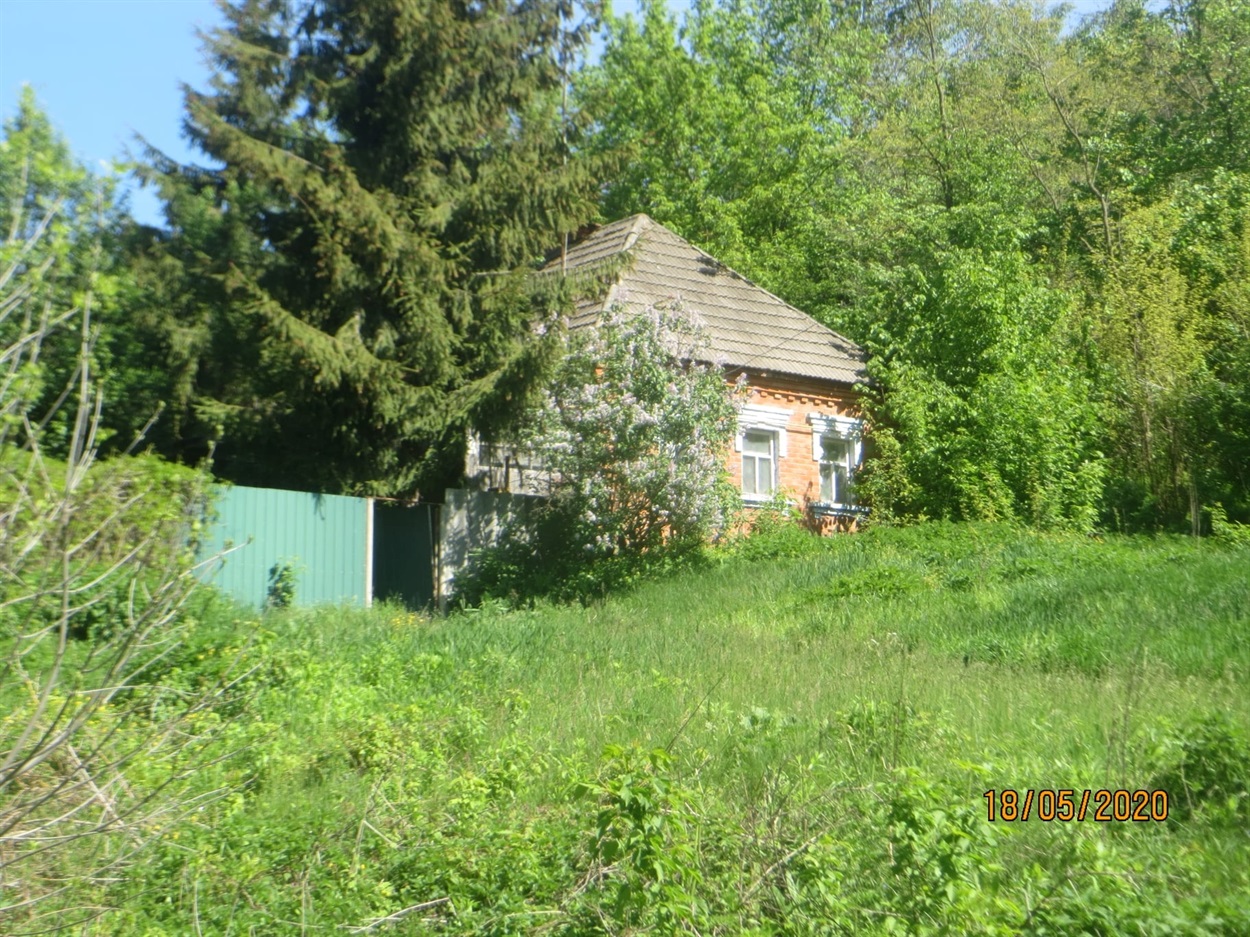 Сучасний Низ (вулиця Набережна).
