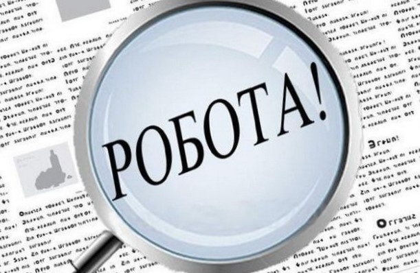 шукаю роботу
