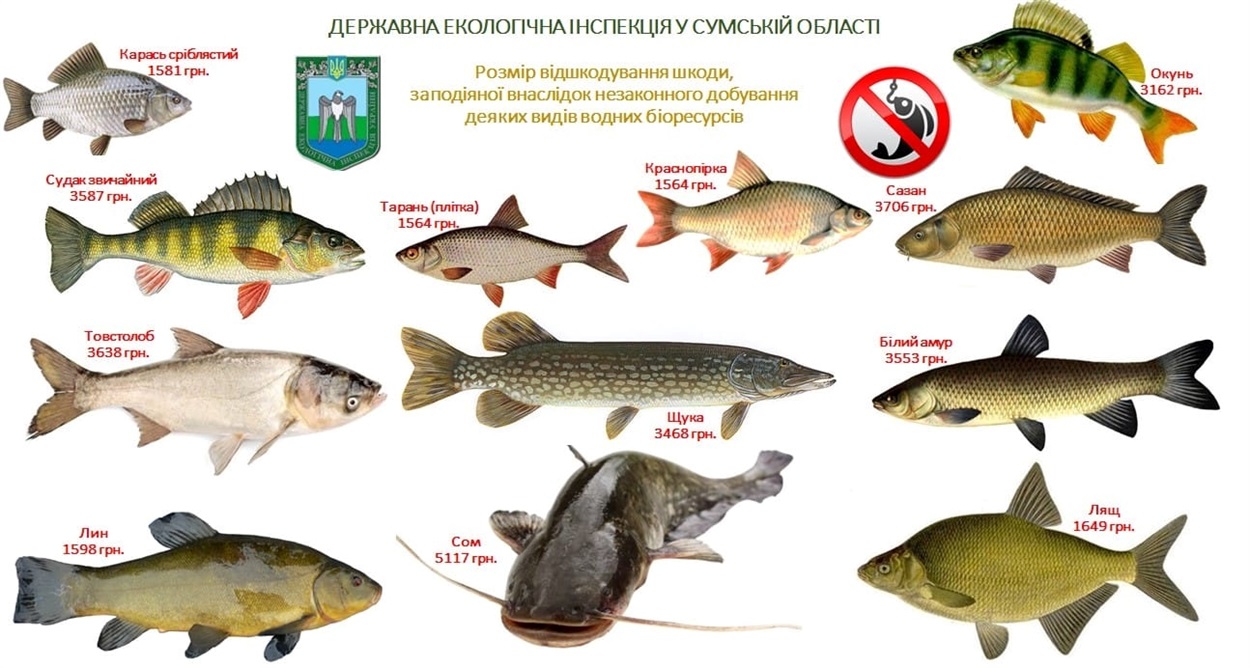 риболовля штраф