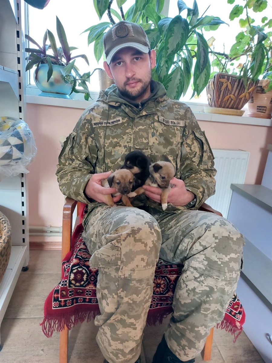 порятунок тварин