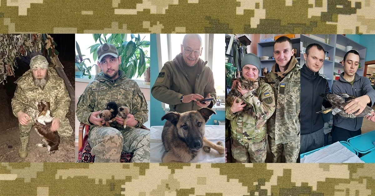 зоозахисники ЗСУ Білопілля