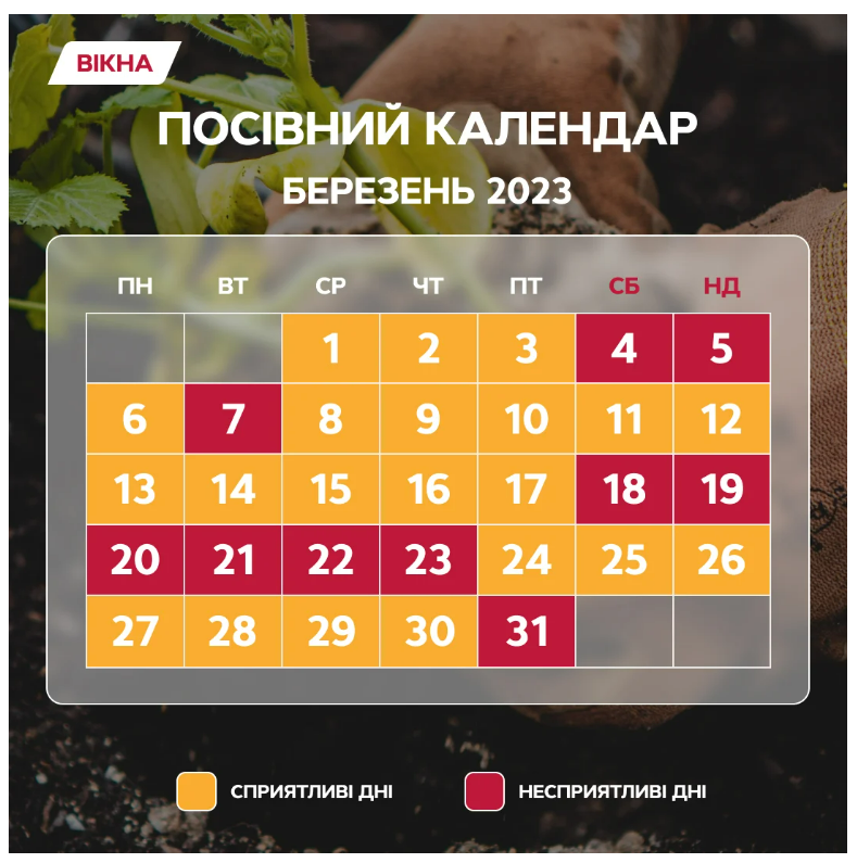 посівний календар на березень 2023
