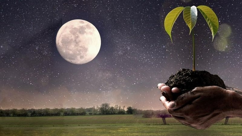 посівний календар травень 2023, фази місяця