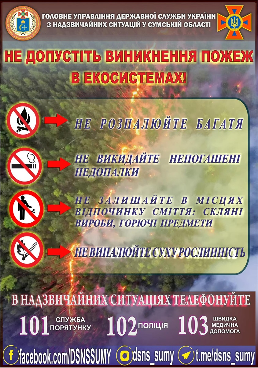 ДСНС, пожежі в екосистемах