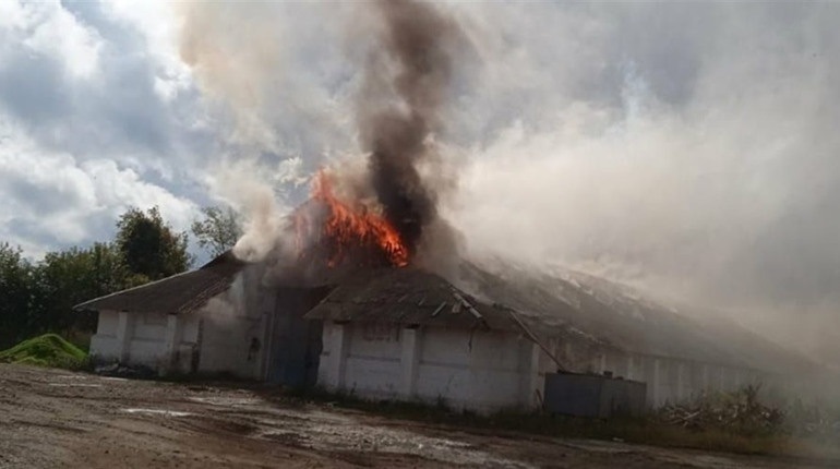 Пожежа після вибухів на зерноскладі