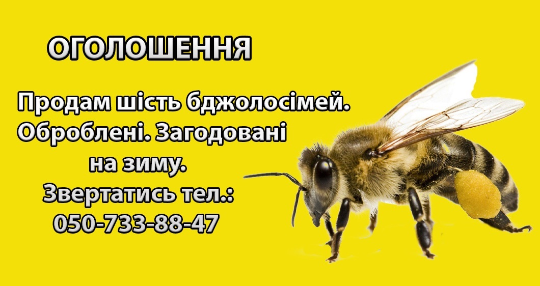 продаю, оголошення