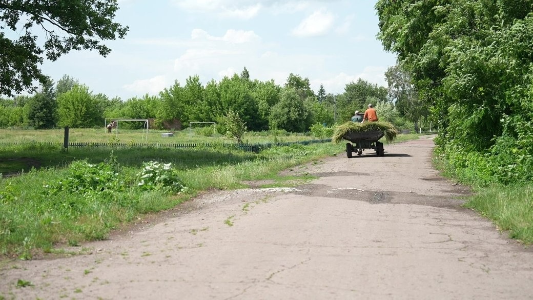Нові Вирки