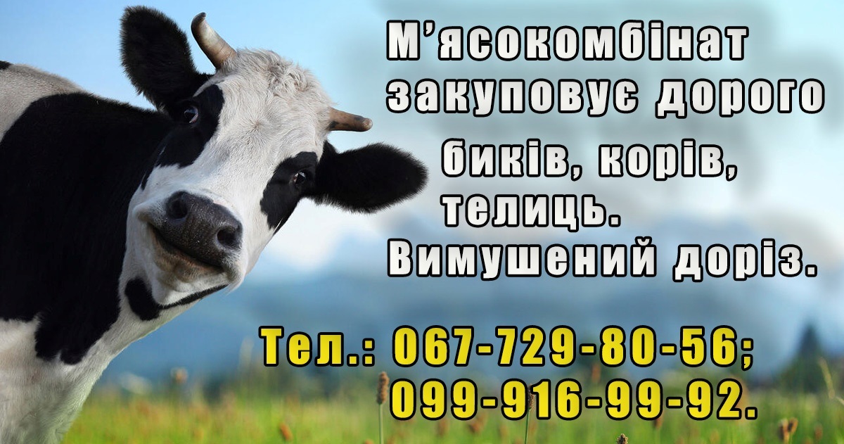 оголошення куплю