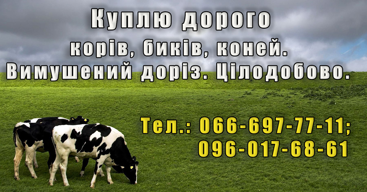 оголошення куплю