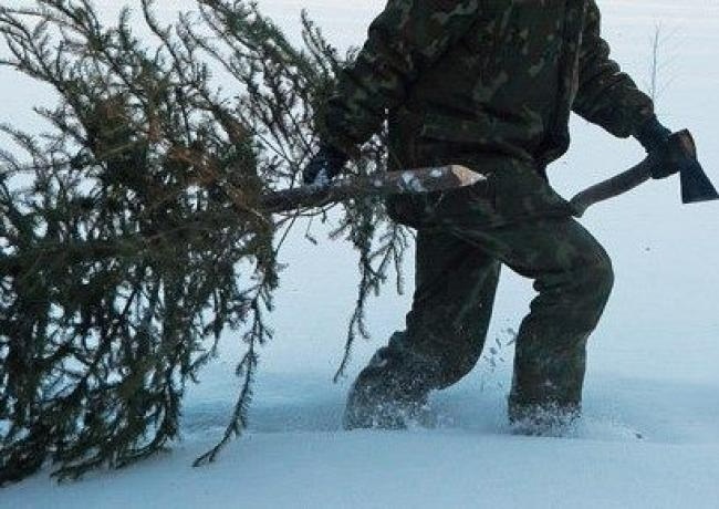 операція "Новорічна ялинка"