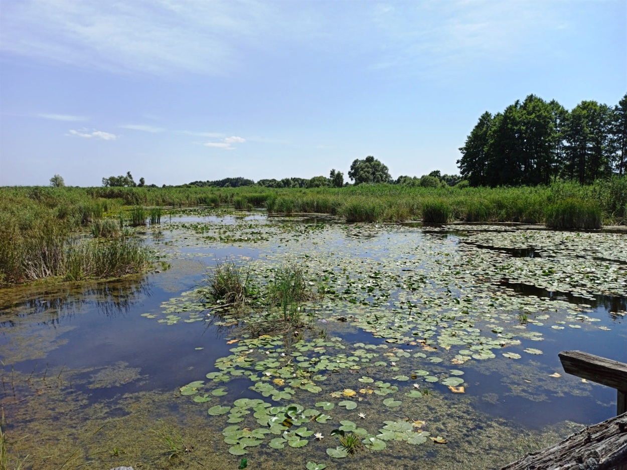 Безсокирне, Річки