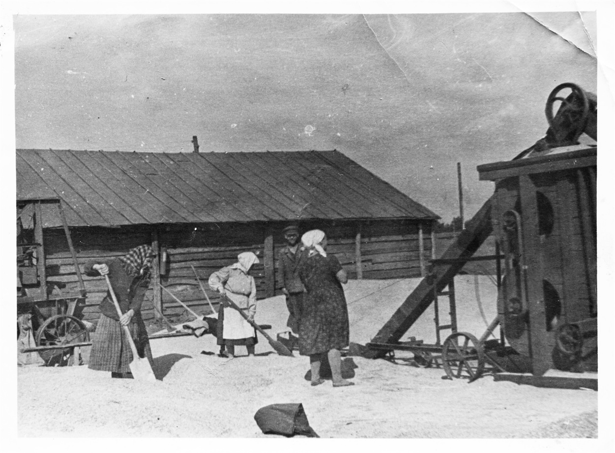 Жнива 1967 р. 