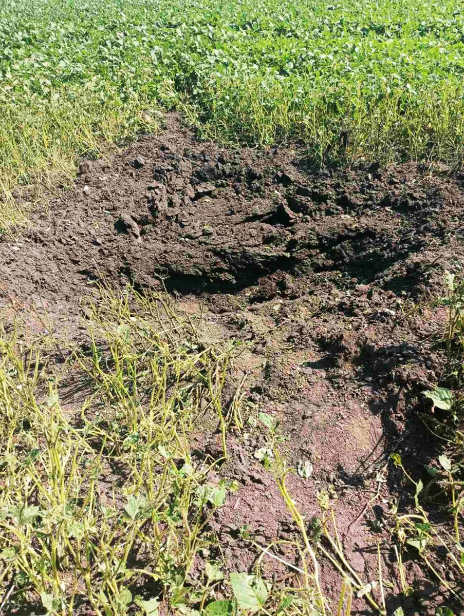 Кальченки, Ворожбянська громада