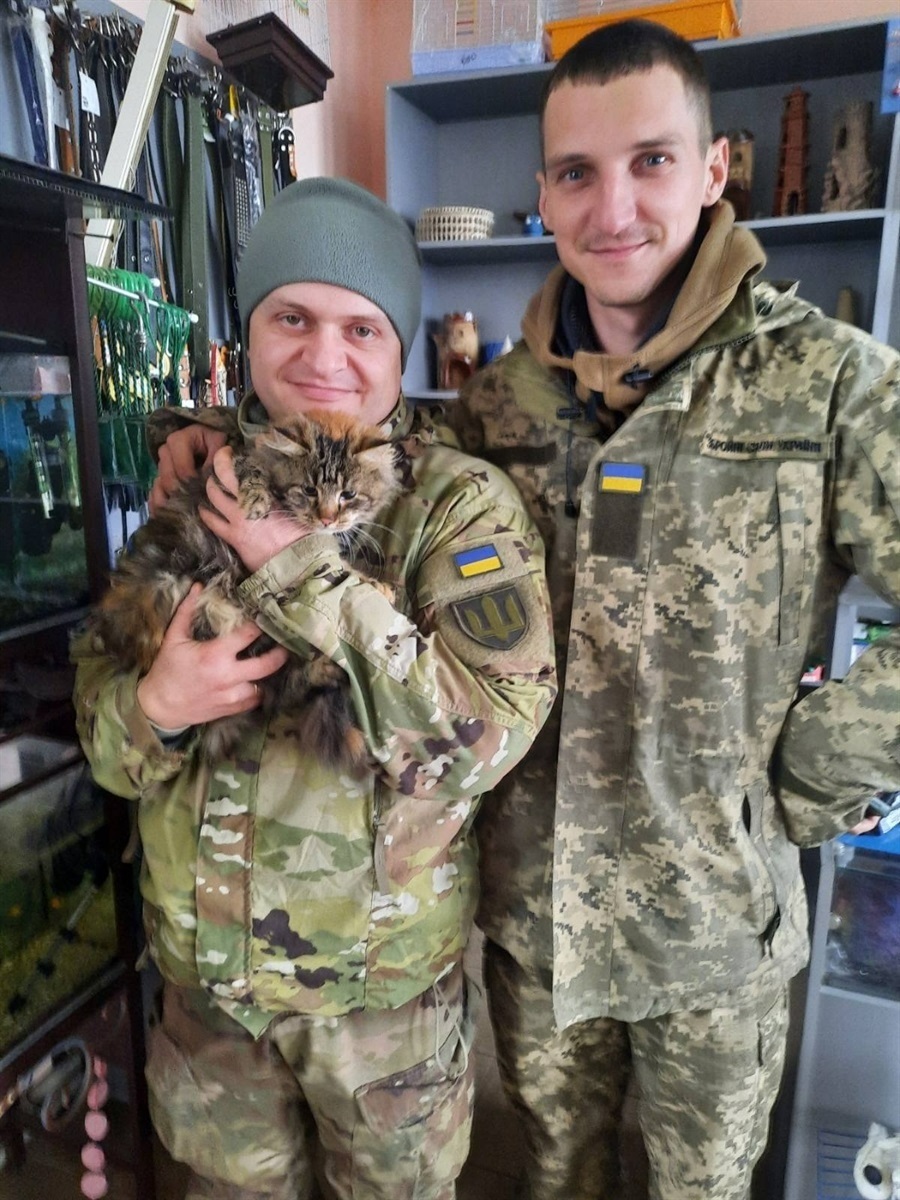 волонтерство, тварини, евакуація, Сумщина, Мавка, Львів