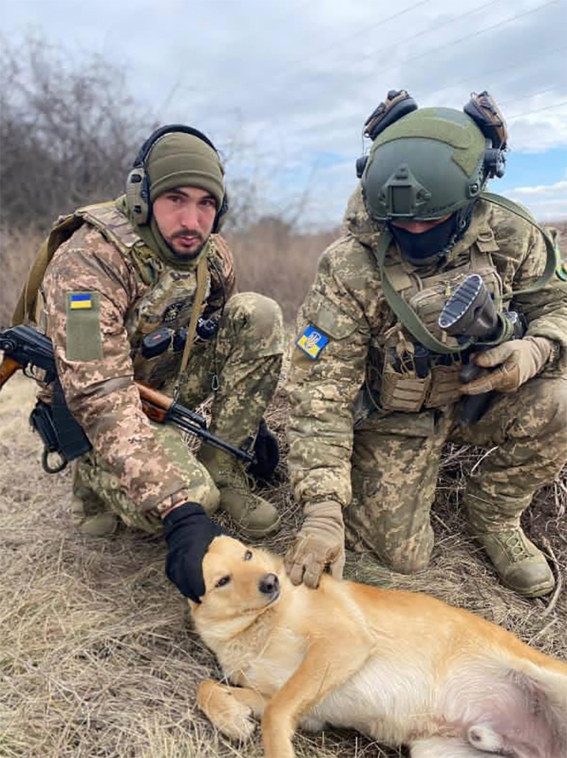 Інтернаціональний легіон оборони України