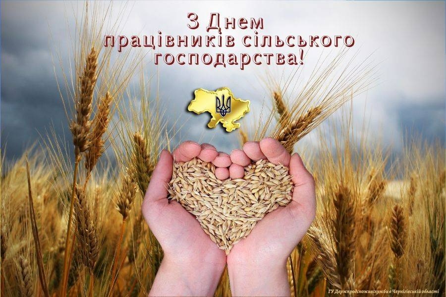 День працівників сільського господарства
