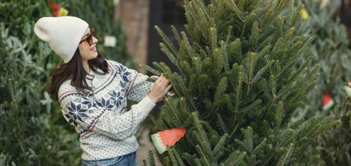 ялинка, новий рік