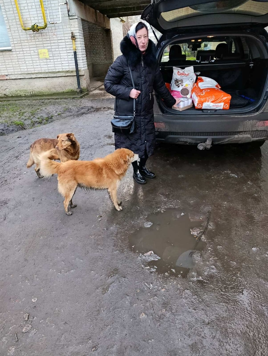 Подарунок перед Різдвом: допомога від Черношице вже в Білопільській громаді