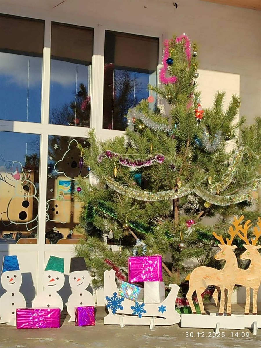 Свято, солодощі й дитячі усмішки: Новий рік завітав у Миколаївську та Річківську громади