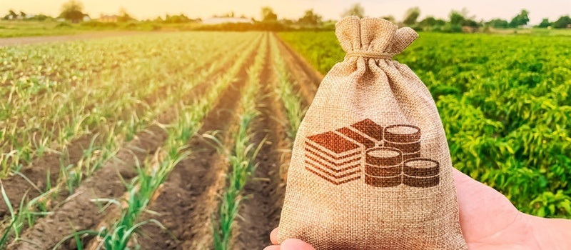 Ворожбянська громада, Андрій Дружченко, Ворожба