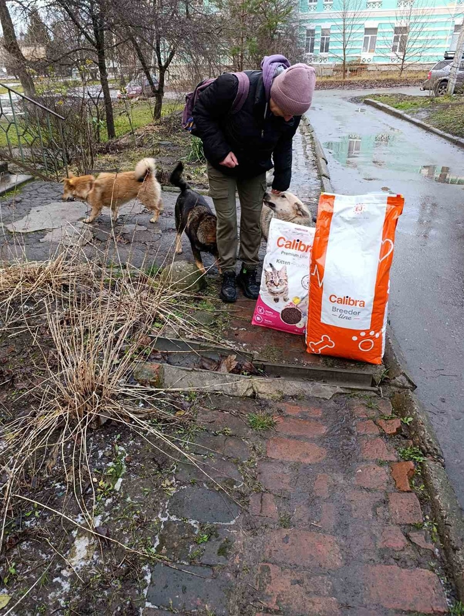 Добро без меж. Як Чехія дбає про безпритульних тварин у Білопіллі