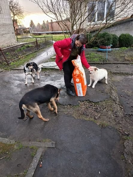 Добро без меж. Як Чехія дбає про безпритульних тварин у Білопіллі
