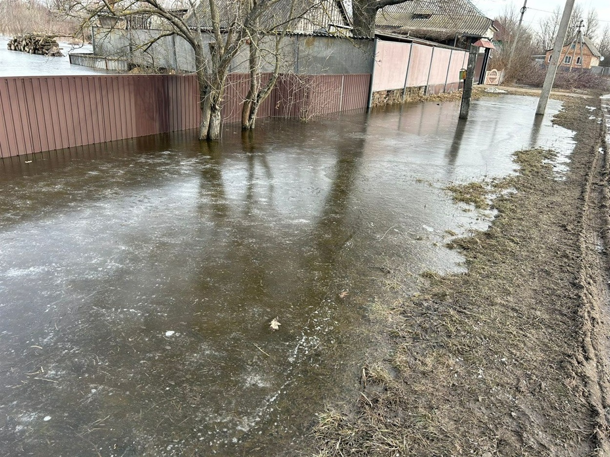 Весняні паводки: як зменшити ризик для здоров’я під час підтоплень