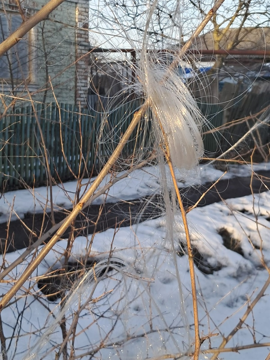 Хроніка війни: ворожі атаки на цивільне населення тривають