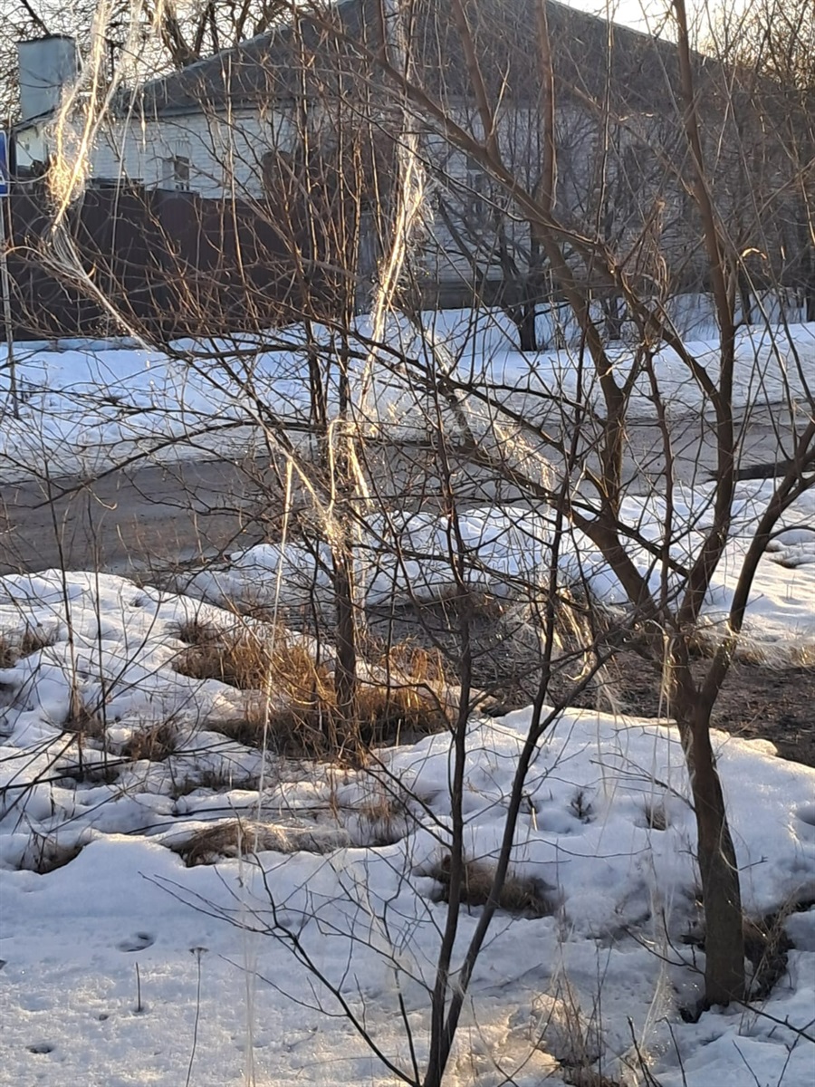 Хроніка війни: ворожі атаки на цивільне населення тривають