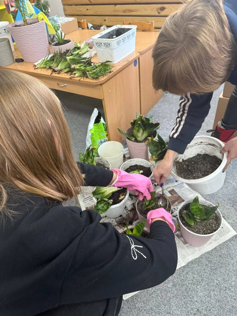 Там, де чують і підтримують: як працює Центр життєстійкості Хотінської громади