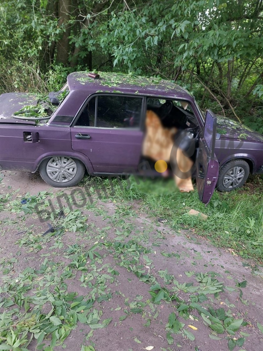 Хроніка війни - Білопільщина: тиждень під прицілом дронів і авіабомб