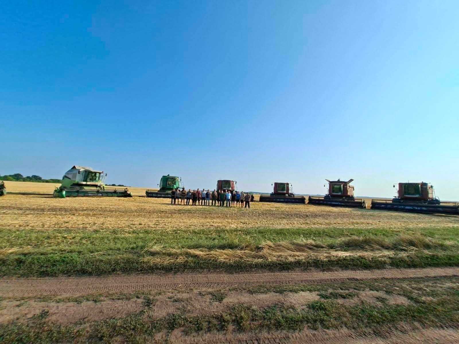 Жнива під загрозою: хліб Білопільщини збирають попри війну