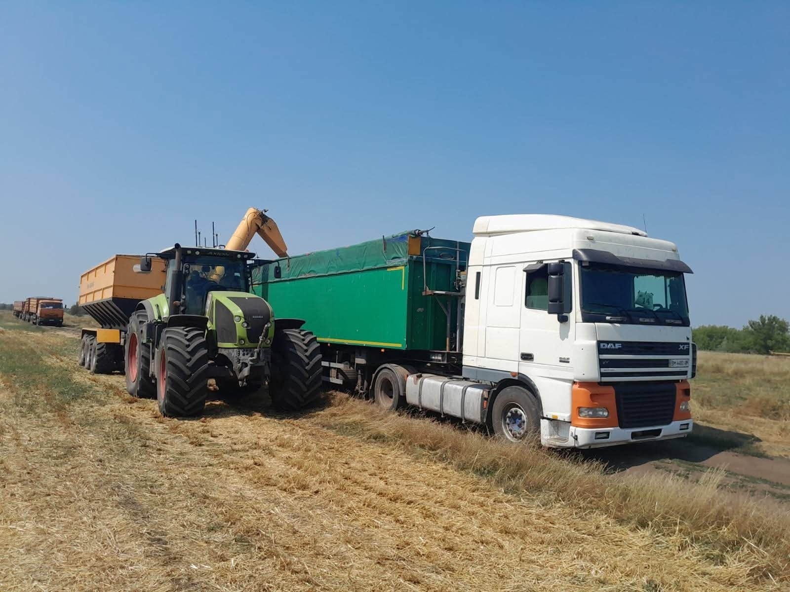 Жнива під загрозою: хліб Білопільщини збирають попри війну